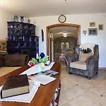 Kali Borhaz - Nyaralohazak *