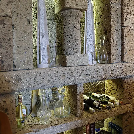 Kali Borhaz - Nyaralohazak *