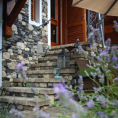 Kali Borhaz - Nyaralohazak * Köveskál