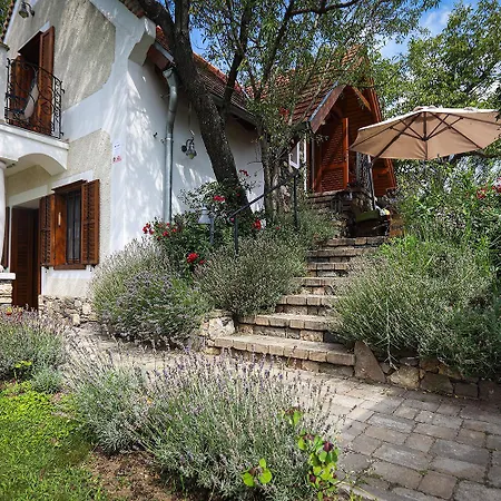 Kali Borhaz - Nyaralohazak Vakantiehuis