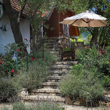 Kali Borhaz - Nyaralohazak * Köveskál