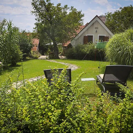 Kali Borhaz - Nyaralohazak