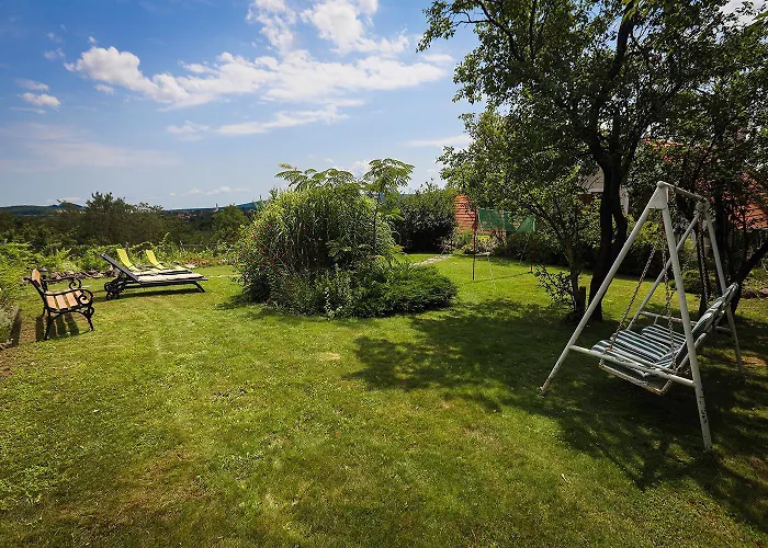 Kali Borhaz - Nyaralohazak *